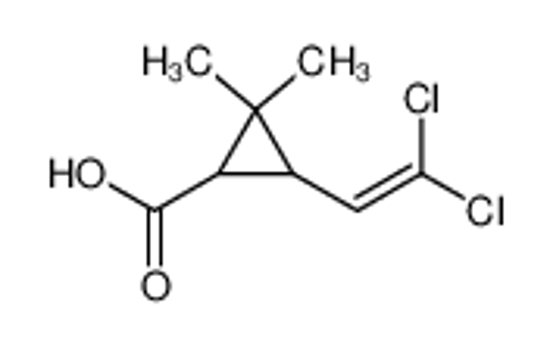 Picture of 3-(2,2-dichlorovinyl)-2,2-dimethylcyclopropanecarboxylic acid