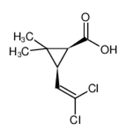 Picture of cis-DL-3-(2,2-Dichlorovinyl)-2,2-dimethylcyclopropanecarboxylic acid