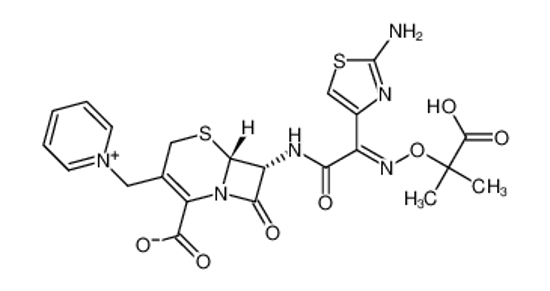 Picture of ceftazidime pentahydrate