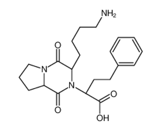 Picture of (2S)-2-[(3S,8aS)-3-(4-Aminobutyl)-1,4-dioxohexahydropyrrolo[1,2-a ]pyrazin-2(1H)-yl]-4-phenylbutanoic acid