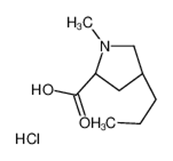 Imagem de (4R)-1-Methyl-4-propyl-L-proline Hydrochloride