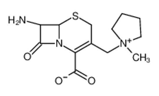 Picture of (6R,7R)-7-amino-3-[(1-methylpyrrolidin-1-ium-1-yl)methyl]-8-oxo-5-thia-1-azabicyclo[4.2.0]oct-2-ene-2-carboxylate