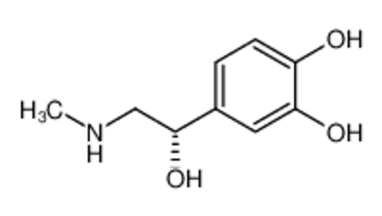 Picture of (S)-adrenaline