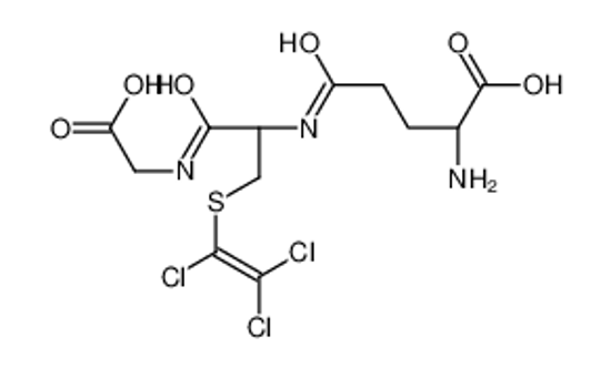 Picture of L-γ-Glutamyl-S-(trichlorovinyl)cysteinylglycine