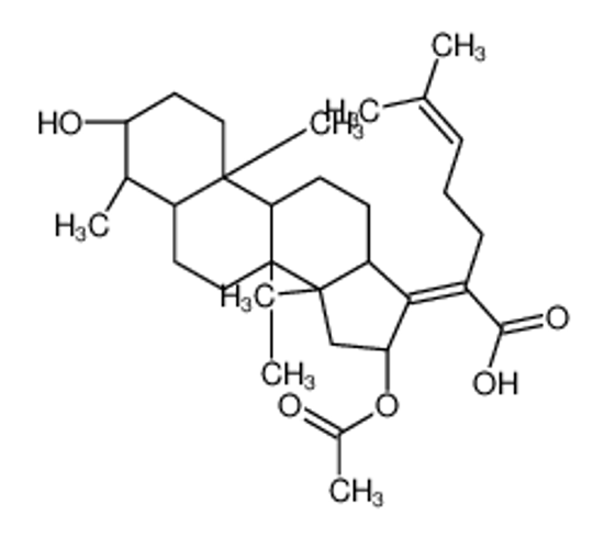 Изображение 11-Deoxy Fusidic Acid