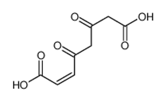 Picture of 4-maleylacetoacetic acid