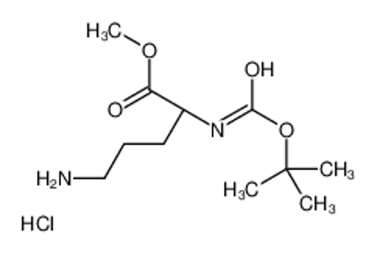 Picture of methyl (2S)-5-amino-2-[(2-methylpropan-2-yl)oxycarbonylamino]pentanoate,hydrochloride