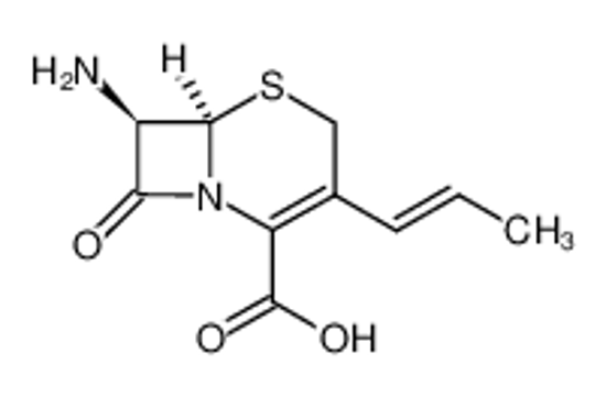 Picture of (6R,7R)-7-amino-3-[(E)-1-propen-1-yl]-3-cephem-4-carboxylic acid