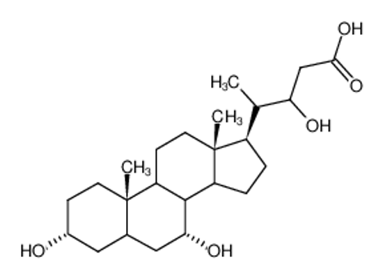 Picture of Haemulcholsaeure