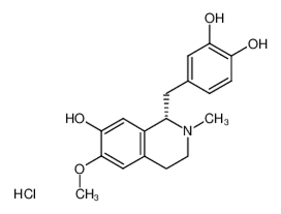 Picture of (+)-(S)-1-<3',4'-dihyroxybenzyl>-1,2,3,4-tetrahydro-6-methoxy-2-methylisoquinolin-7-ol hydrochloride