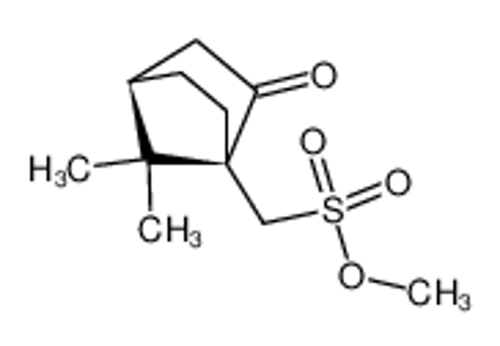 Picture of (1S,4R)-methyl (7,7-dimethyl-2-oxobicyclo[2.2.1]hept-1-yl)methanesulfonate