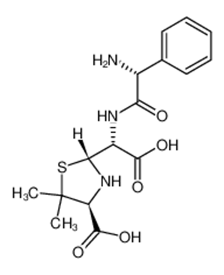 Imagem de the penicilloic acid of ampicillin