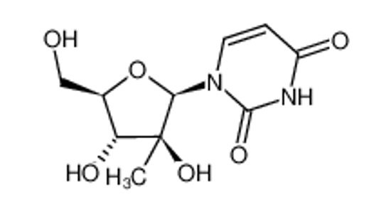 Picture of 1-(2'-C-methyl-β-D-arabinofuranosyl)uracil