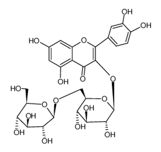 Picture of quercetin 3-O-β-D-glucopyranosyl-(1→6)-β-D-glucopyranoside