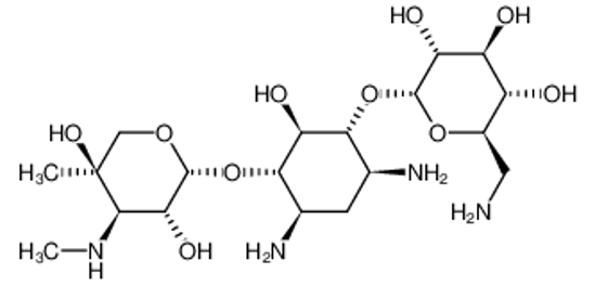Picture of gentamicin B