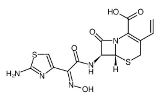 Picture of 7β-[(Z)-2-(2-amino-4-thiazolyl)-2-hydroxyiminoacetamido]-3-vinyl-3-cephem-4-carboxylic acid
