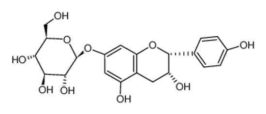Imagem de (-)-epiafzelechin 7-O-β-D-glucopyranoside