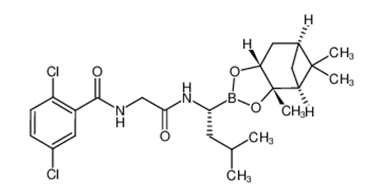 Imagem de 2,5-dichloro-N-[2-({(1R)-3-methyl-1-[(3aS,4S,6S,7aR)-3a,5,5-trimethylhexahydro-4,6-methano-1,3,2-benzod ioxaborol-2-yl]butyl}amino)-2-oxoethyl]benzamide