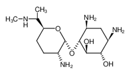 Изображение gentamine C1