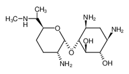 Picture of gentamine C1