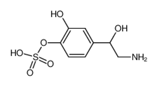 Изображение dl-norepinephrine-4-O-sulfate