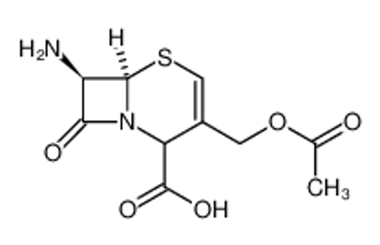Picture of (6R)-3-acetoxymethyl-7t-amino-8-oxo-(6rH)-5-thia-1-aza-bicyclo[4.2.0]oct-3-ene-2ξ-carboxylic acid