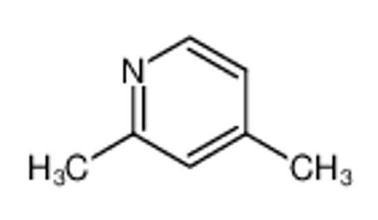 Picture of 2,4-Lutidine