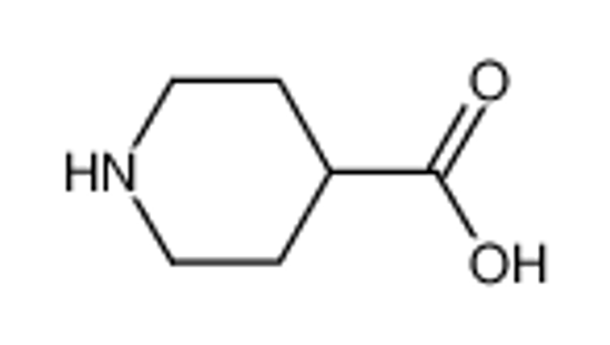 Picture of Isonipecotic acid