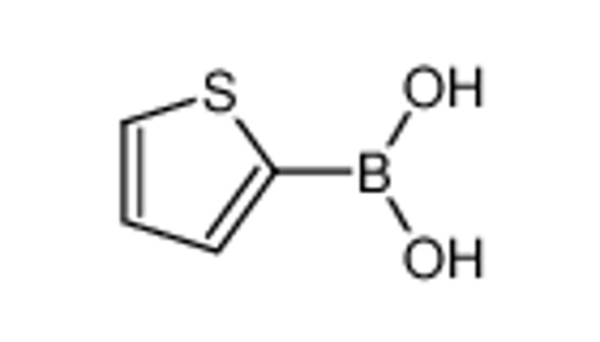 Picture of 2-Thiopheneboronic acid