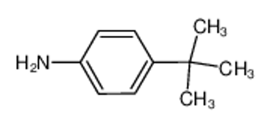 Picture of 4-tert-Butylaniline
