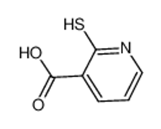 Изображение 2-Mercaptonicotinic acid