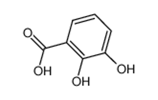 Picture of 2,3-dihydroxybenzoic acid