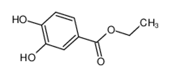 Picture of Ethyl 3,4-dihydroxybenzoate