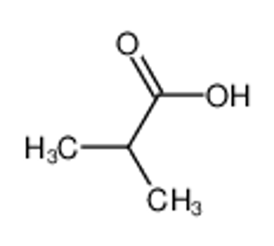 Picture of isobutyric acid