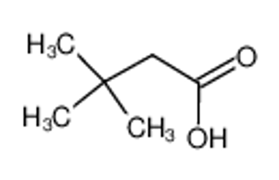 Picture of 3,3-dimethylbutyric acid