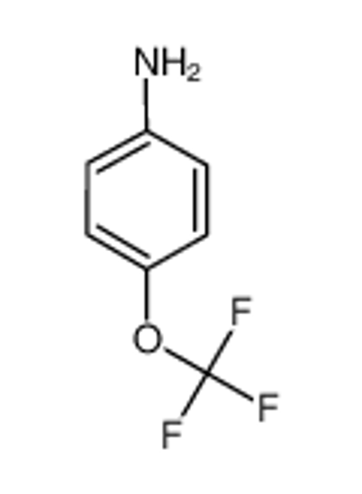 Picture of 4-(Trifluoromethoxy)aniline
