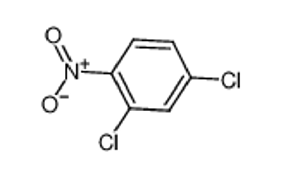 Picture of 2,4-Dichloronitrobenzene