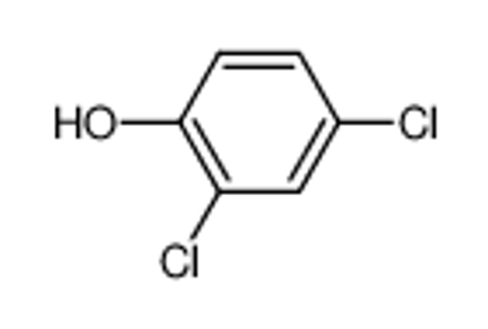 Picture of 2,4-dichlorophenol