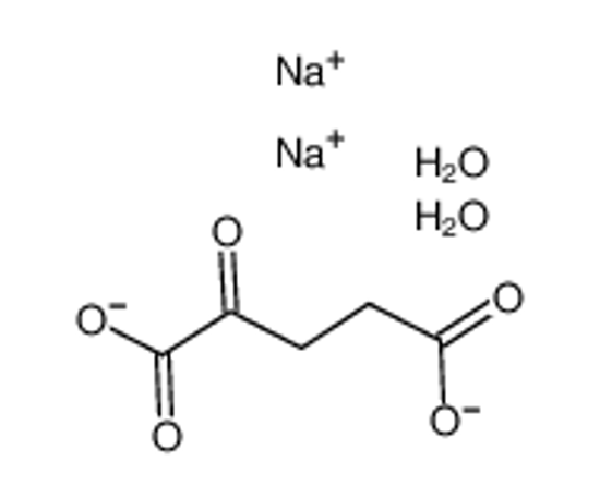 Imagem de Disodium 2-oxoglutarate dihydrate