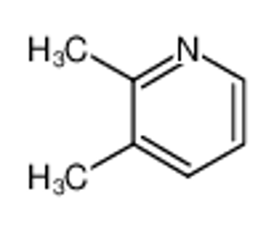 Picture of 2,3-Lutidine
