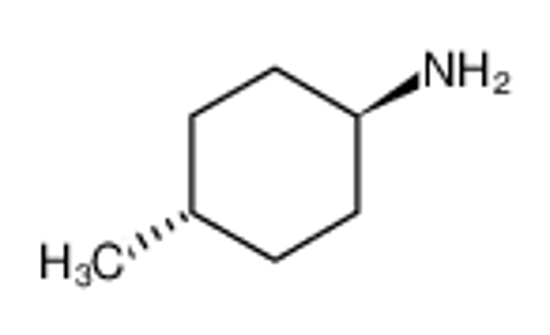 Imagem de trans-4-Methylcyclohexyl amine