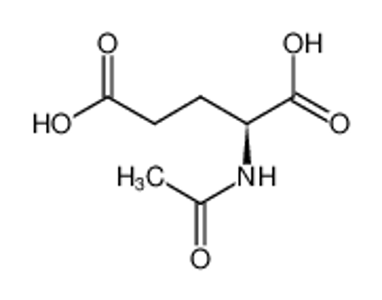 Picture of Acetyl-L-glutamic acid