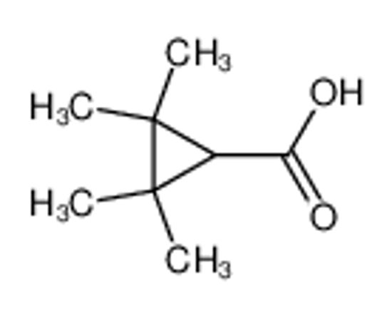 Picture of 2,2,3,3-tetramethylcyclopropanecarboxylic acid
