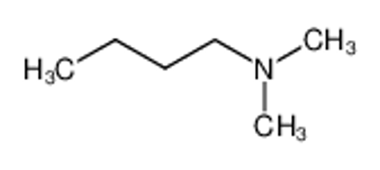 Picture of N,N-dimethylbutylamine
