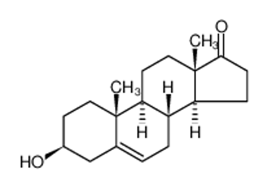 Picture of dehydroepiandrosterone