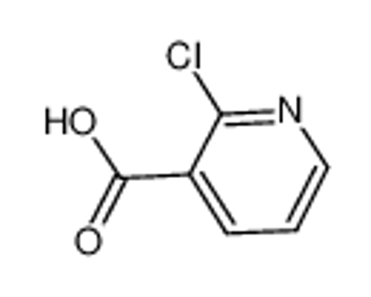 Picture of 2-Chloronicotinic acid