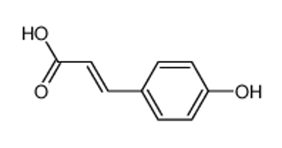 Picture of 4-coumaric acid