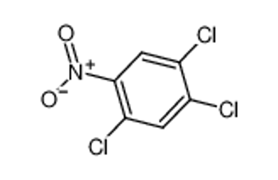 Picture of 2,4,5-Trichloronitrobenzene