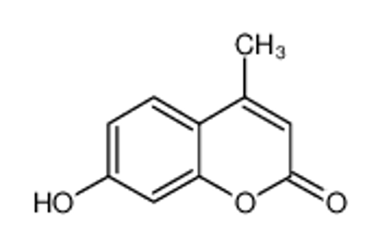 Picture of 4-methylumbelliferone