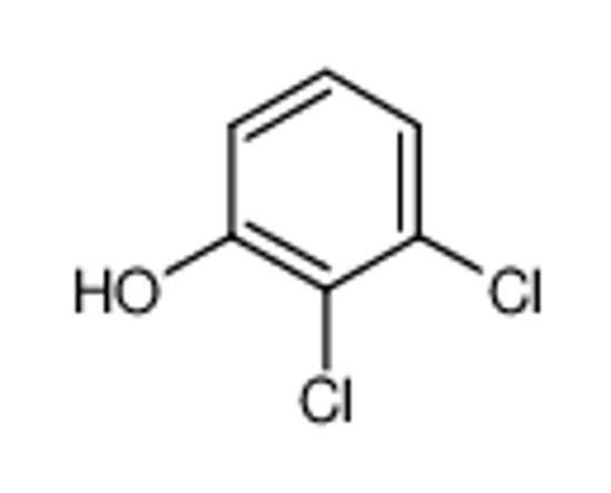 Picture of 2,3-Dichlorophenol